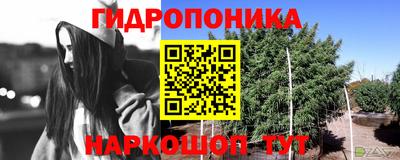 дмт Краснознаменск