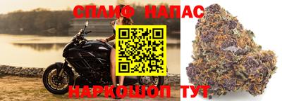 эйфоретик Краснодар