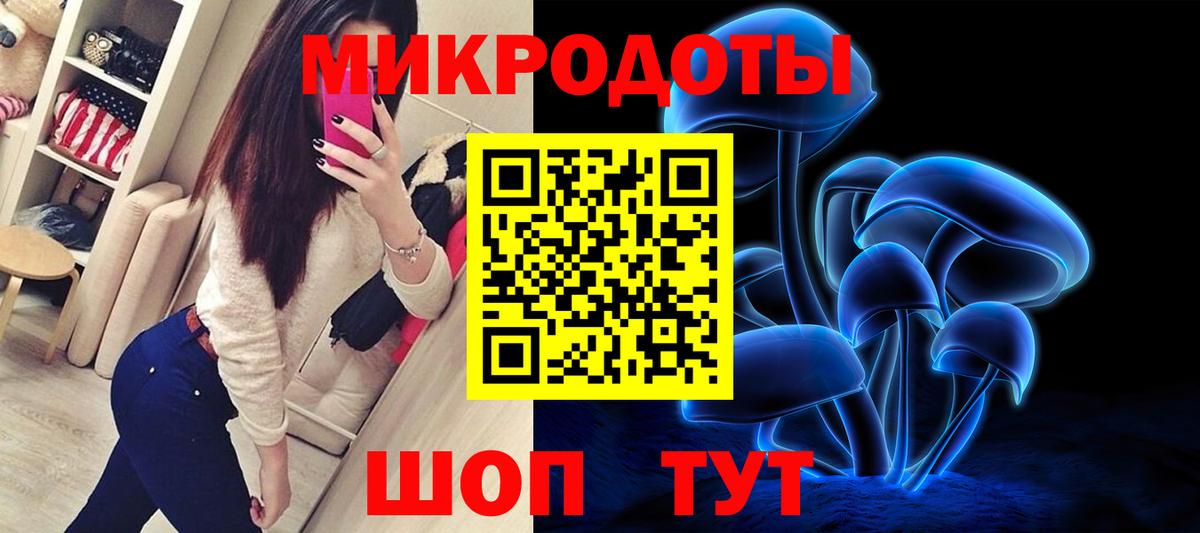 Буйнакск  Псилоцибиновые грибы Psilocybine cubensis  Вход с VPN 